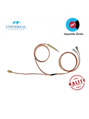 Bacalı Doğalgaz Sobası Termokupl